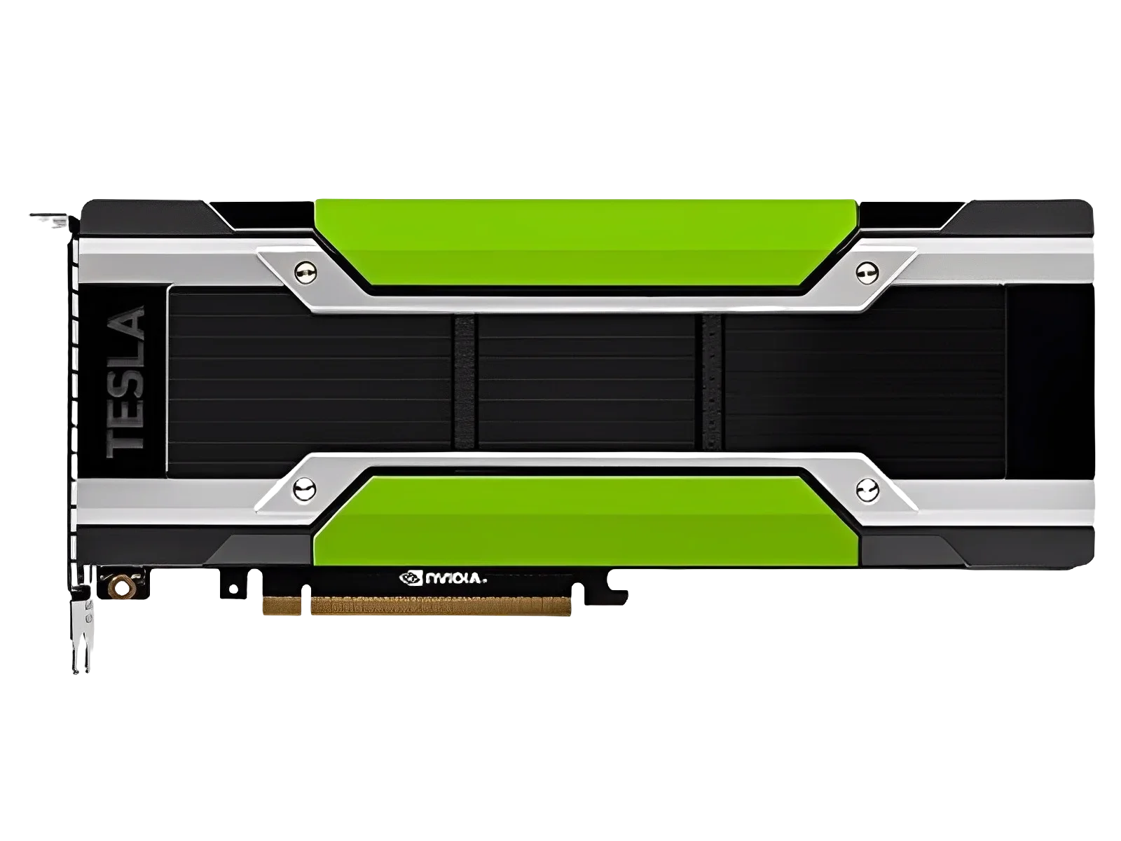 GPU V100/P100/T4/P4/P40/M10/M4 - Ddr5 8Gb ulasan dan harga