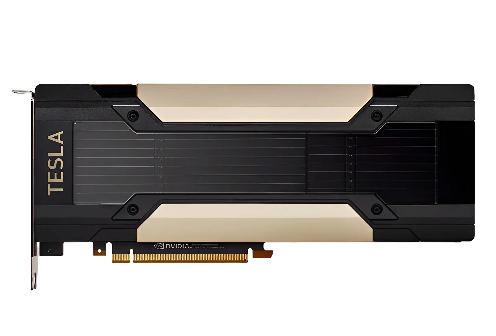 GPU V100/P100/T4/P4/P40/M10/M4 - Ddr5 8Gb ulasan dan harga